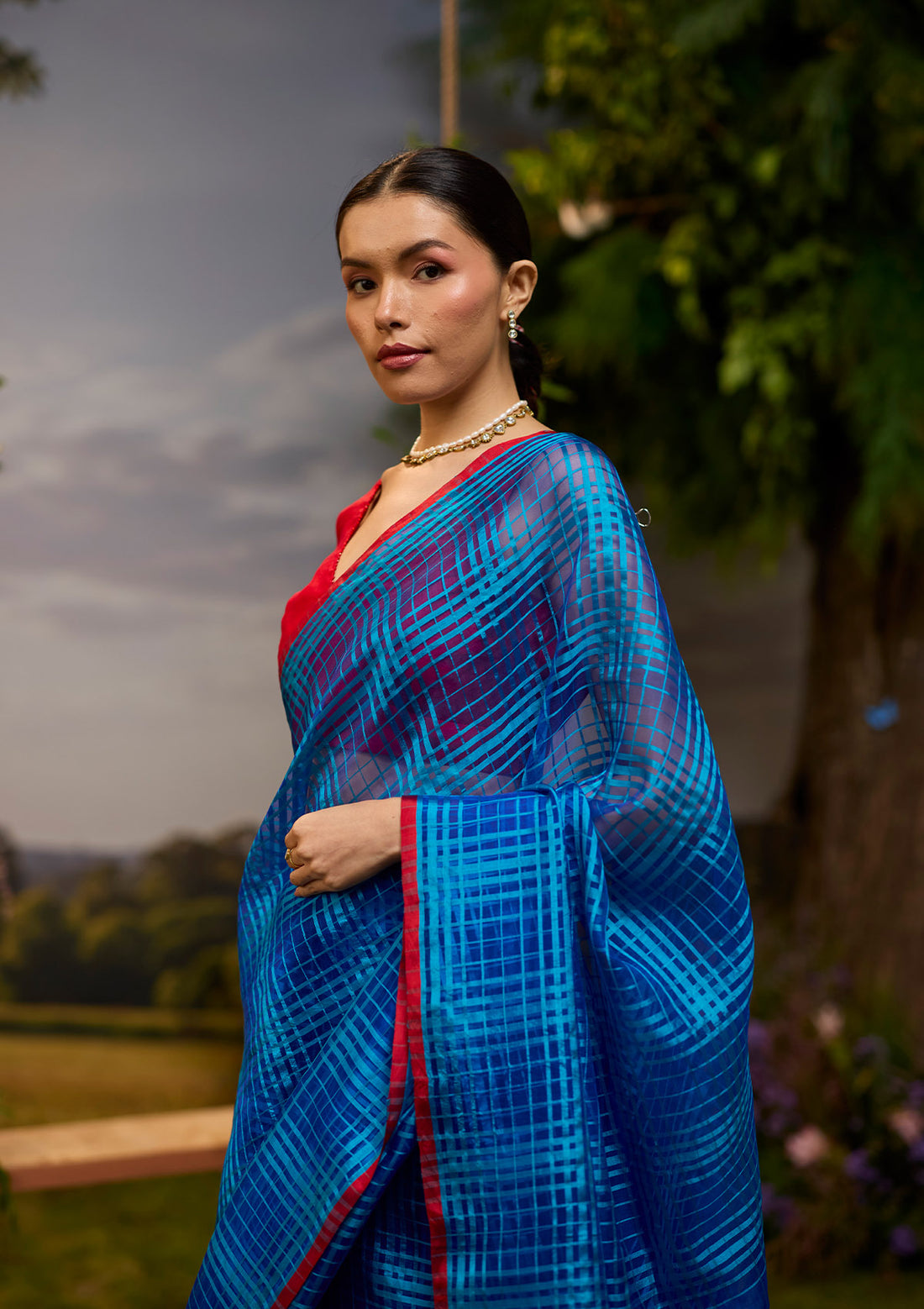 A-Walk-in-Blue Checkered Saree