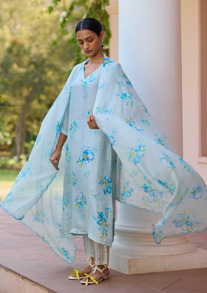 Dawn Poppy Blue Kurta Set