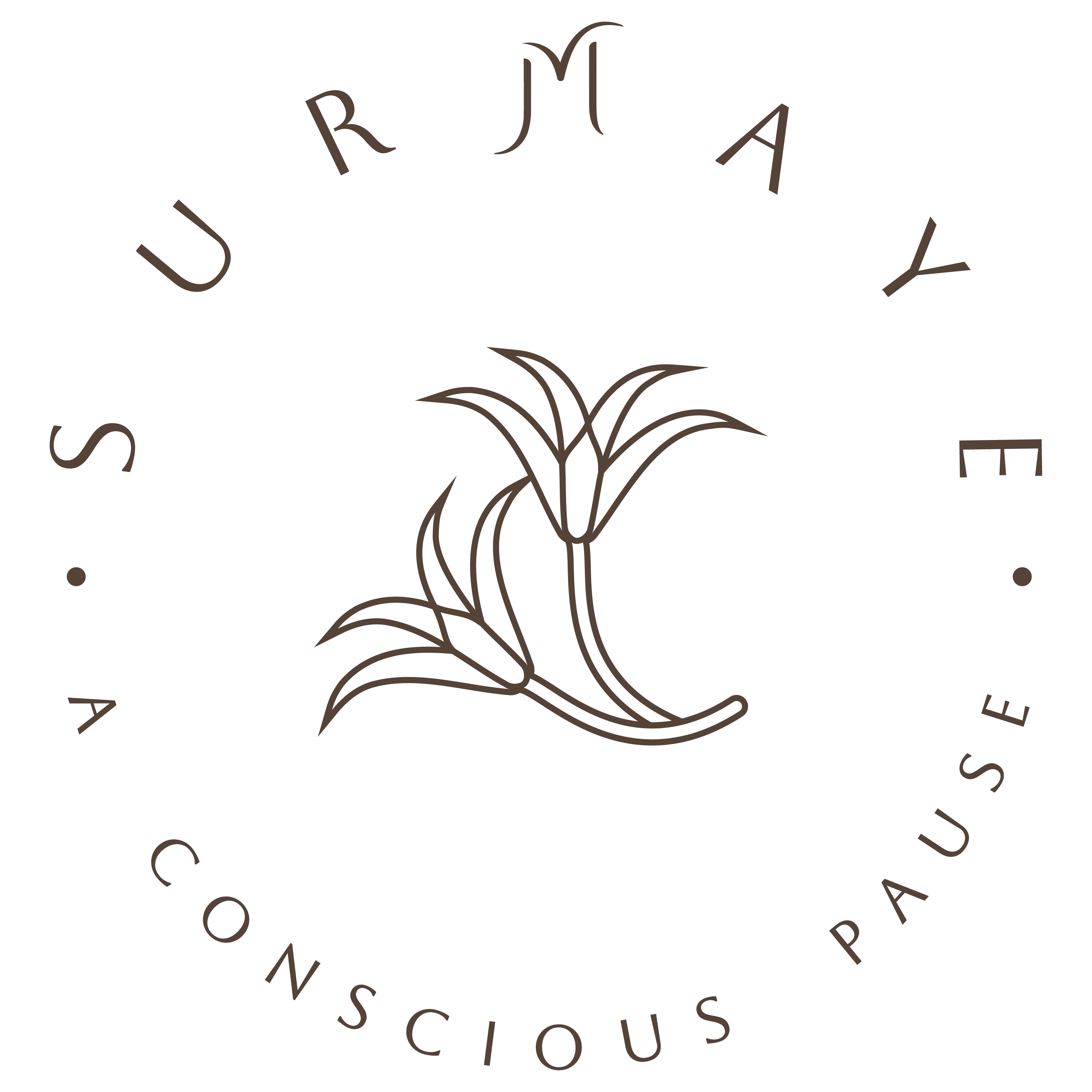 Handloom Sarees & Clothing | Mindful Luxury | Surmaye