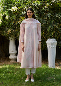 Joyful Paths Pink Kurta Set