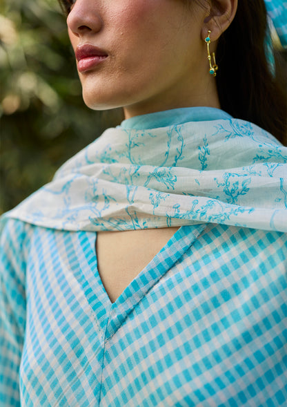 Joyful Paths Blue Kurta Set