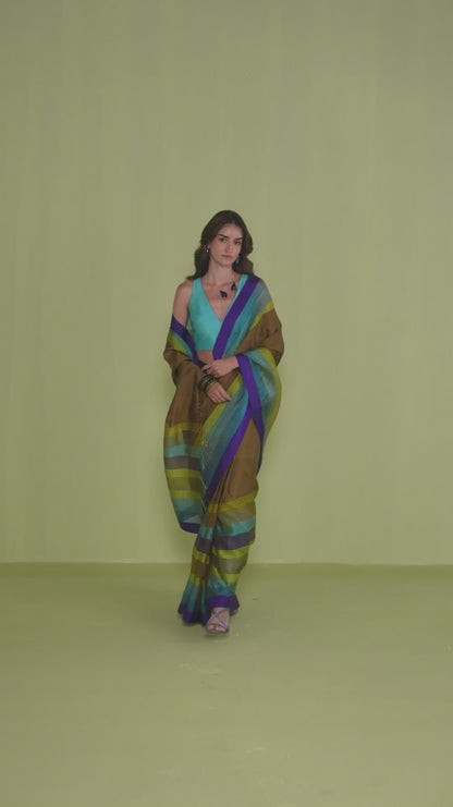 Earth-to-Sky Striped Saree