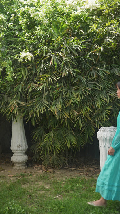 Wander Trail Blue Embroidered Dress